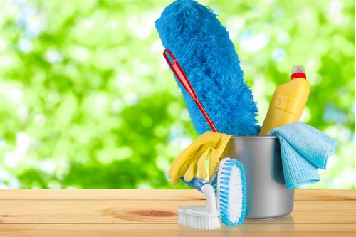 Steam carpet cleaning equipment in an Elmers End home