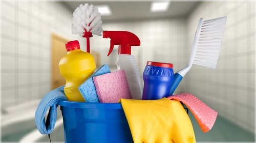 Customer booking a professional carpet cleaning appointment