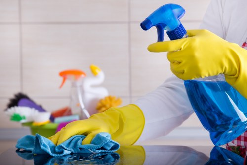 DIY stain removal tools and cleaning cloths