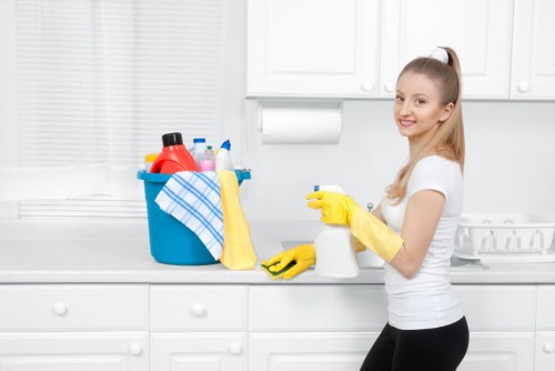 Accessible Elmers End Carpet Cleaners website banner
