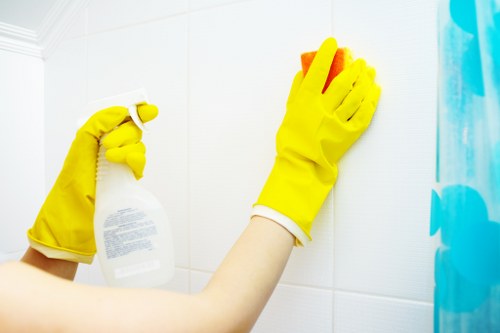 Steam cleaning service for carpets in Elmers End