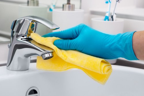 Professional carpet cleaning process in Elmers End