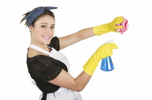 Experienced Elmers End carpet cleaners working on a residential carpet