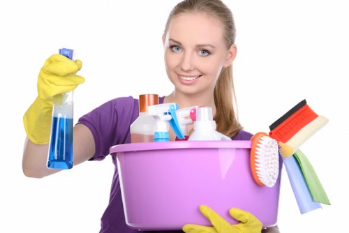 Final legal terms and governing law section for carpet cleaning service