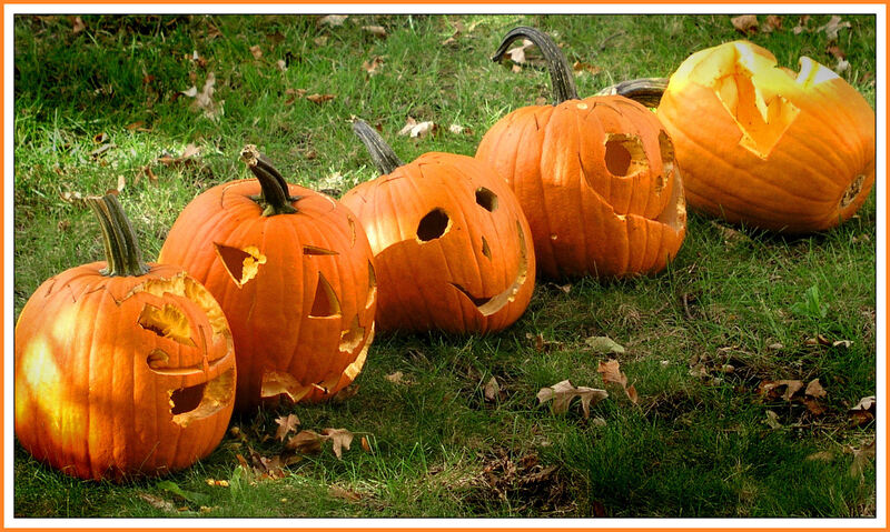 carpet cleaners deep cleaning